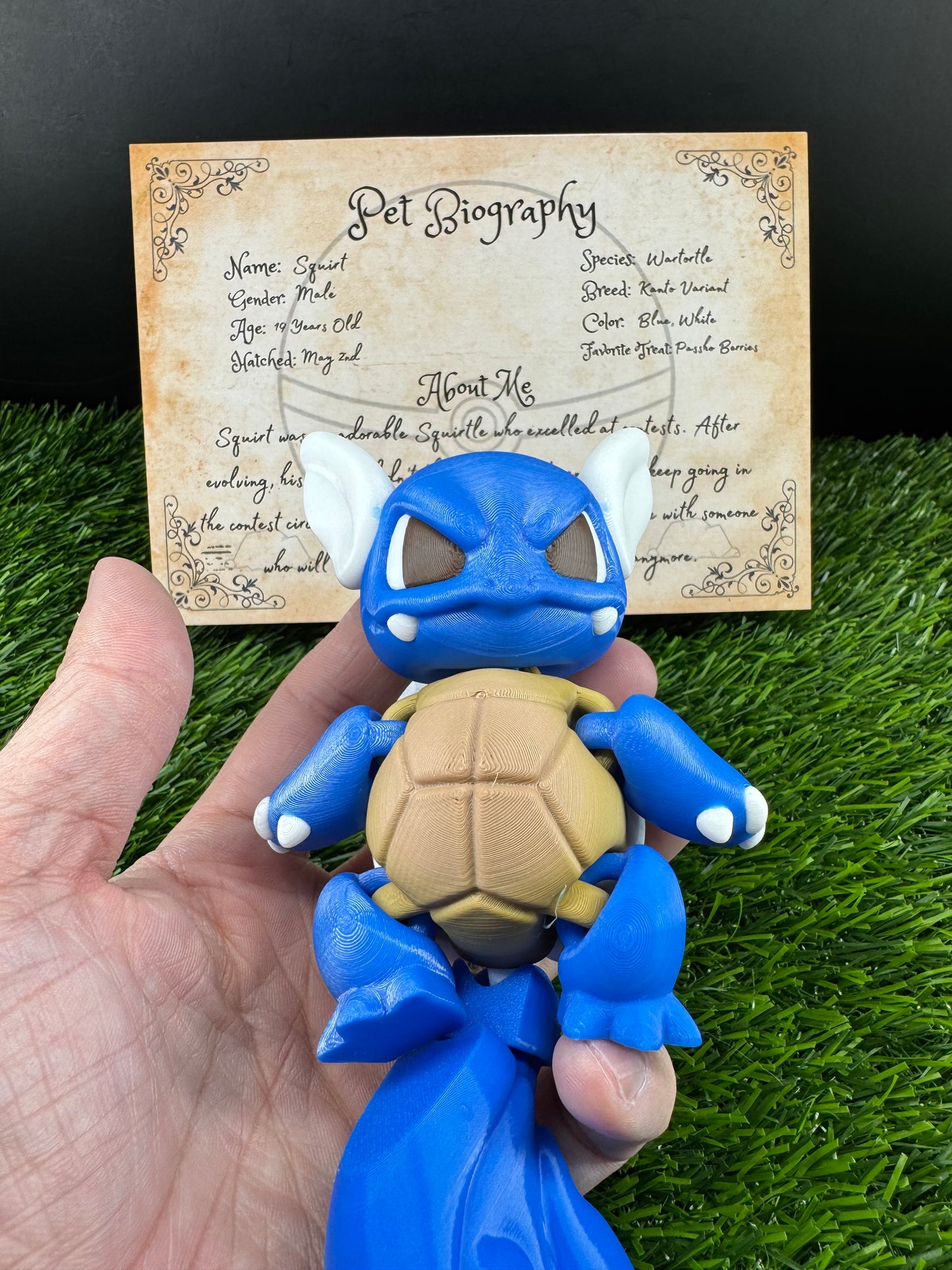 Squirt - The Wartortle - Mythical Pets