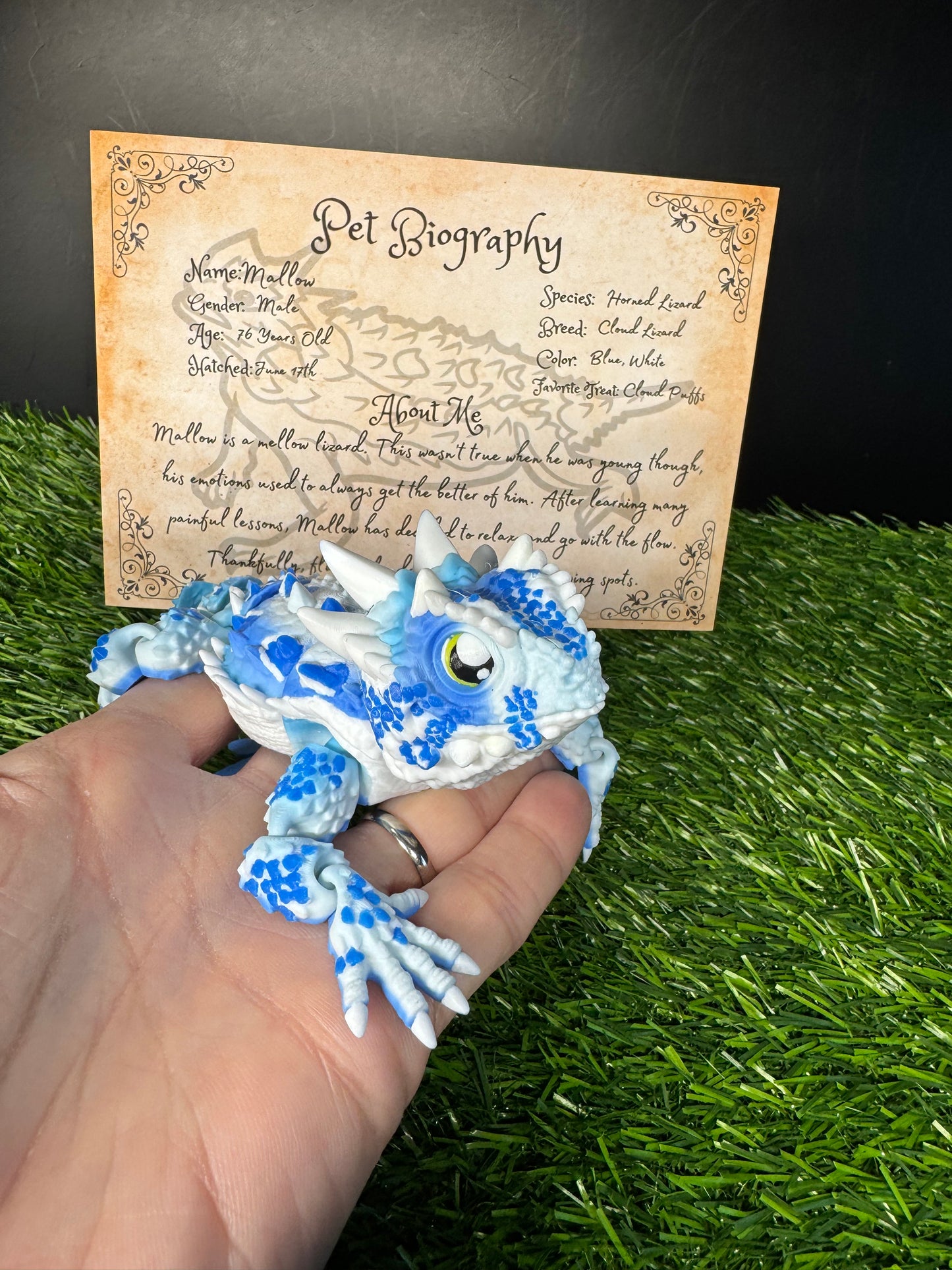 Mallow - The Sky Lizard - Mythical Pets