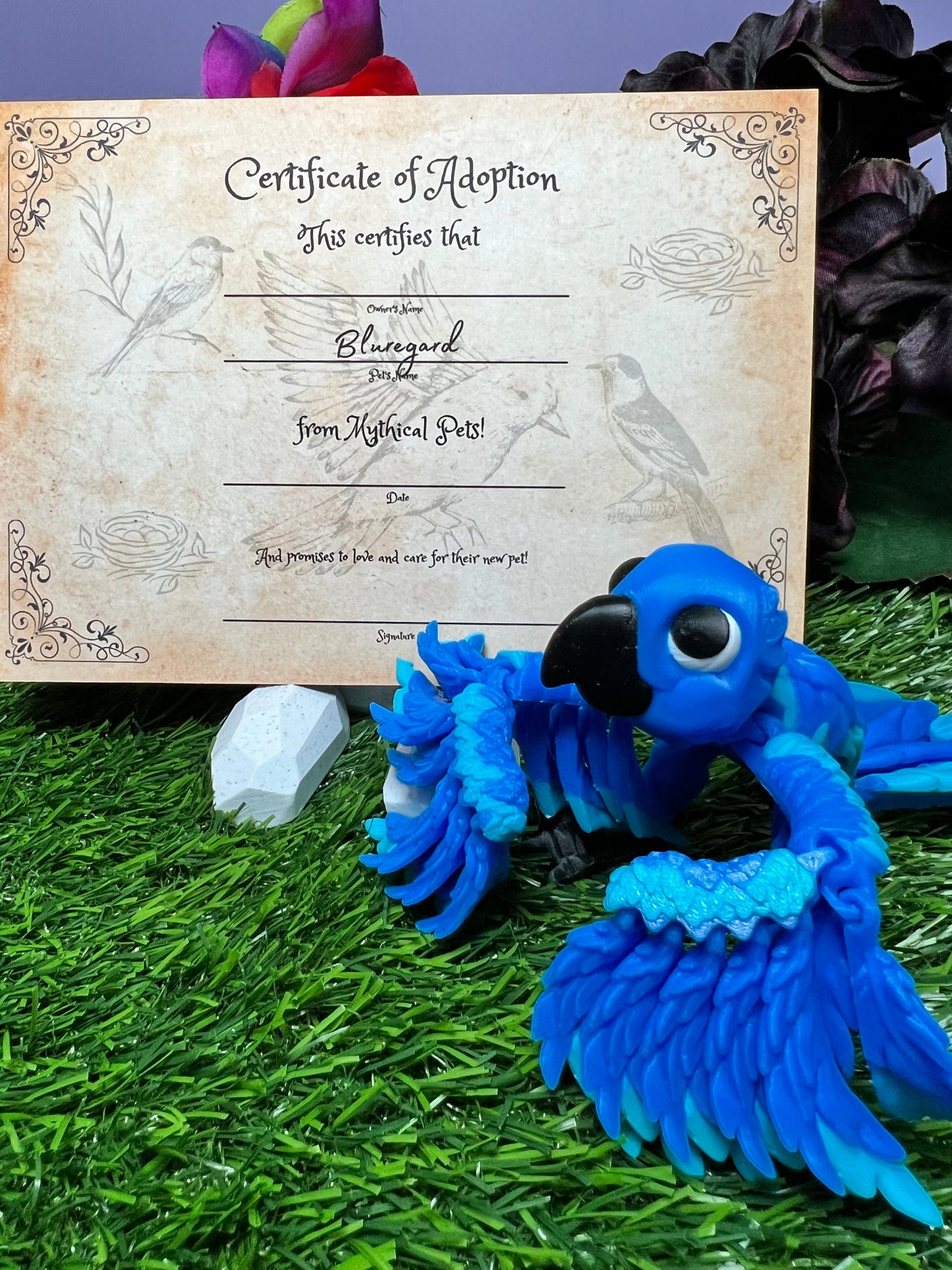 Bluregard - The Blue Macaw - Mythical Pets