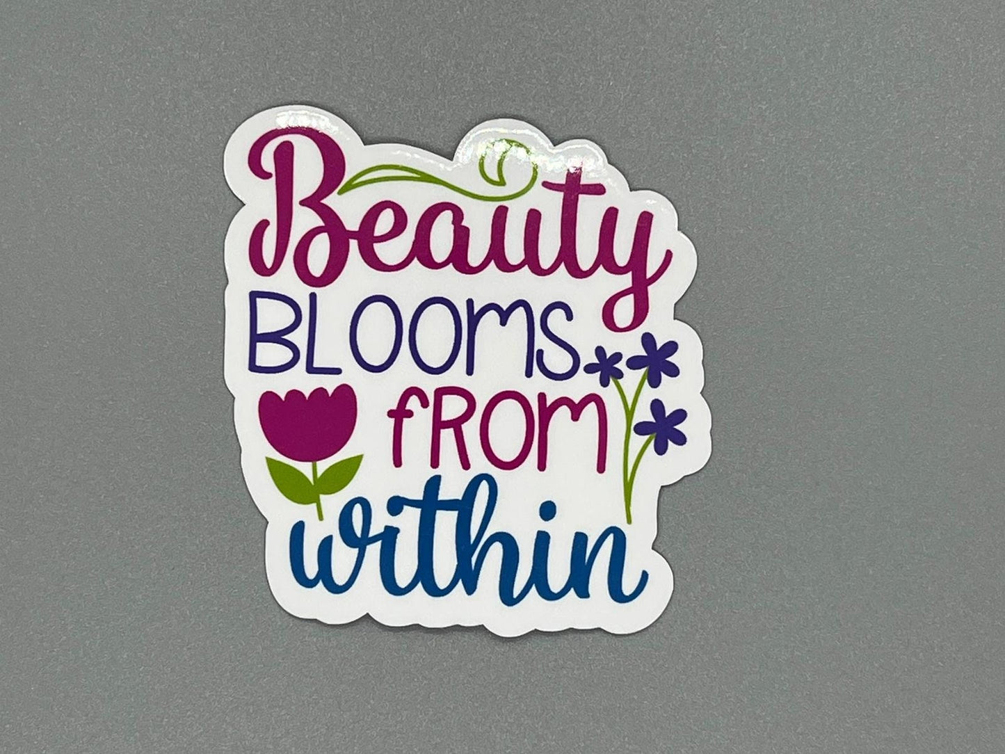 Motivational Messages Stickers - Inspirational Phrases on Vinyl Stickers - Waterproof Weatherproof UV Resistant Laminated