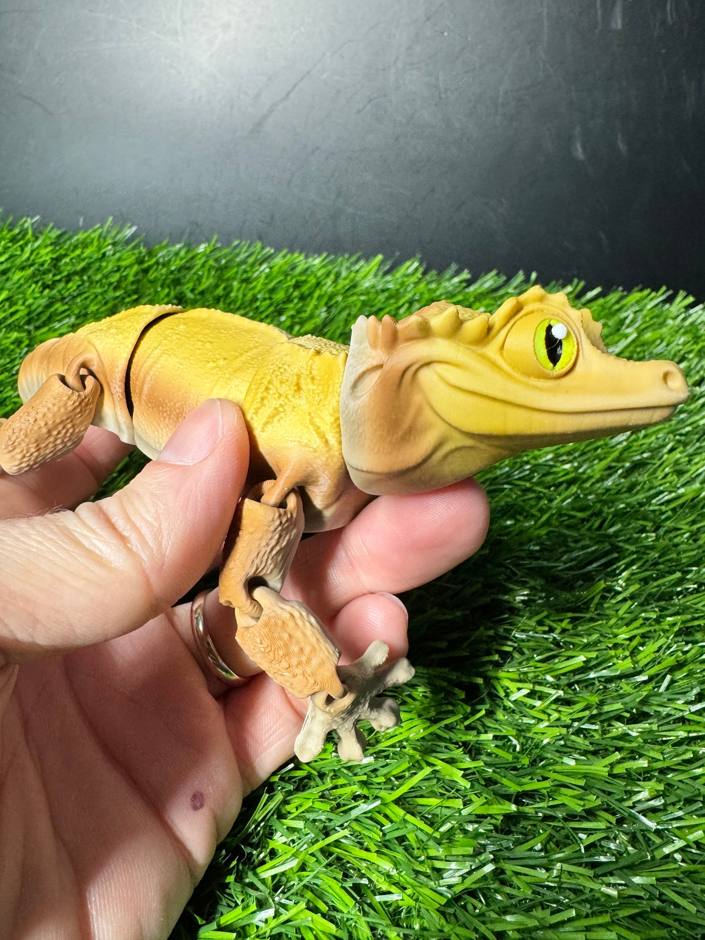 Jayden - The Stump Gecko  - Mythical Pets