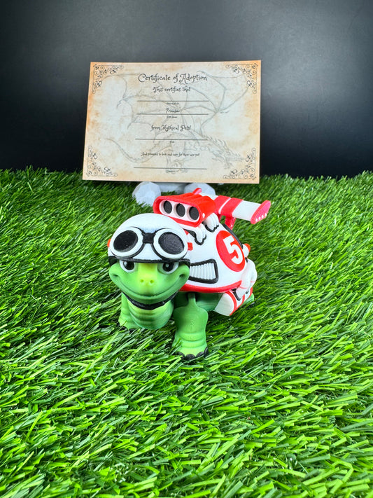Toshi - The Racer Turtle  - Mythical Pets