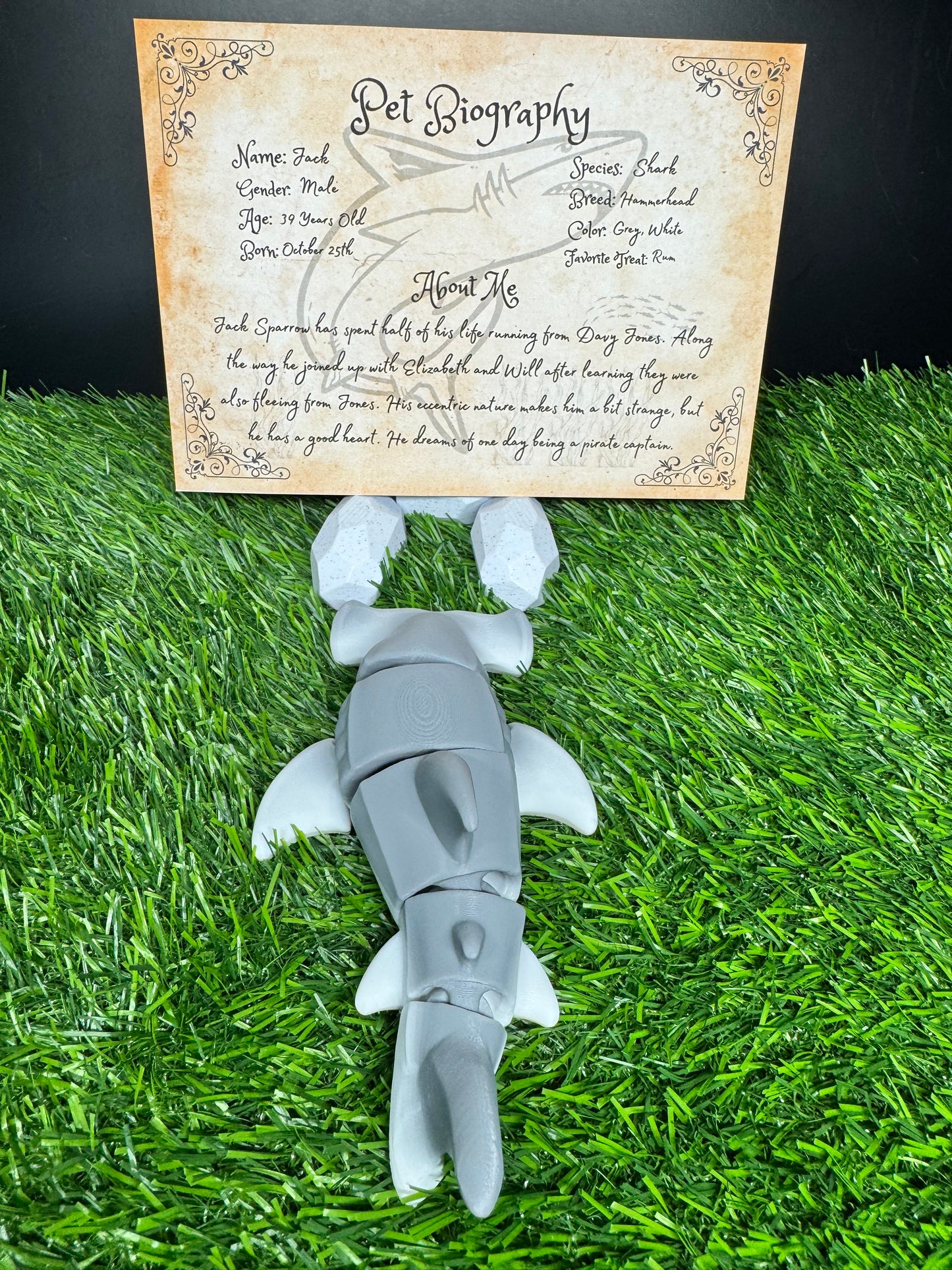 Jack Sparrow - The Hammerhead Shark - Mythical Pets