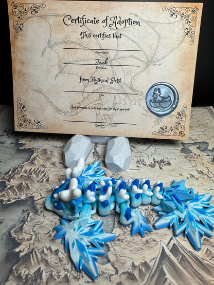 Jack - The Winter Dragon - Mythical Pets