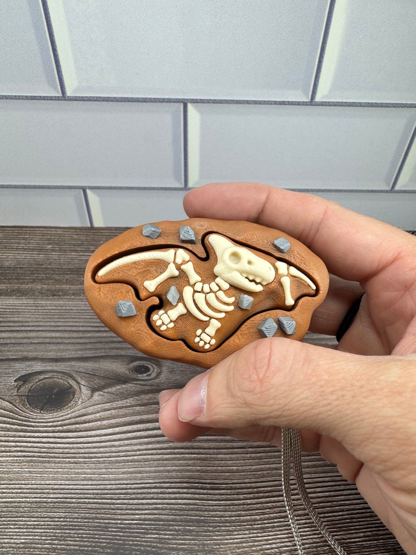 Dino Fossils - Fidget Toys - Clicky
