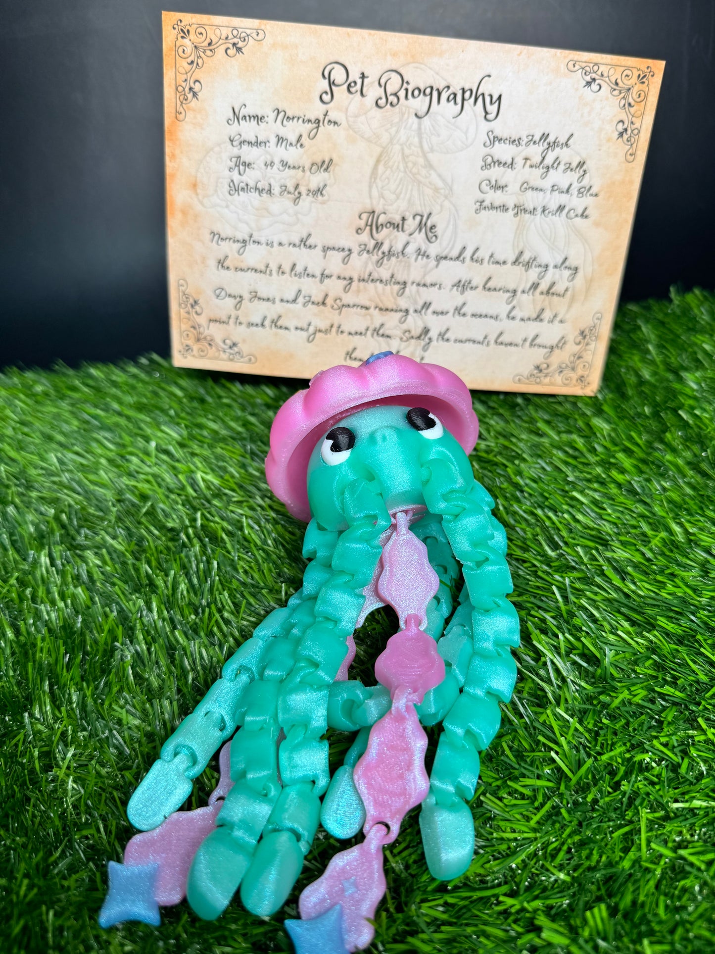 Norrington - The Twilight Jellyfish - Mythical Pets