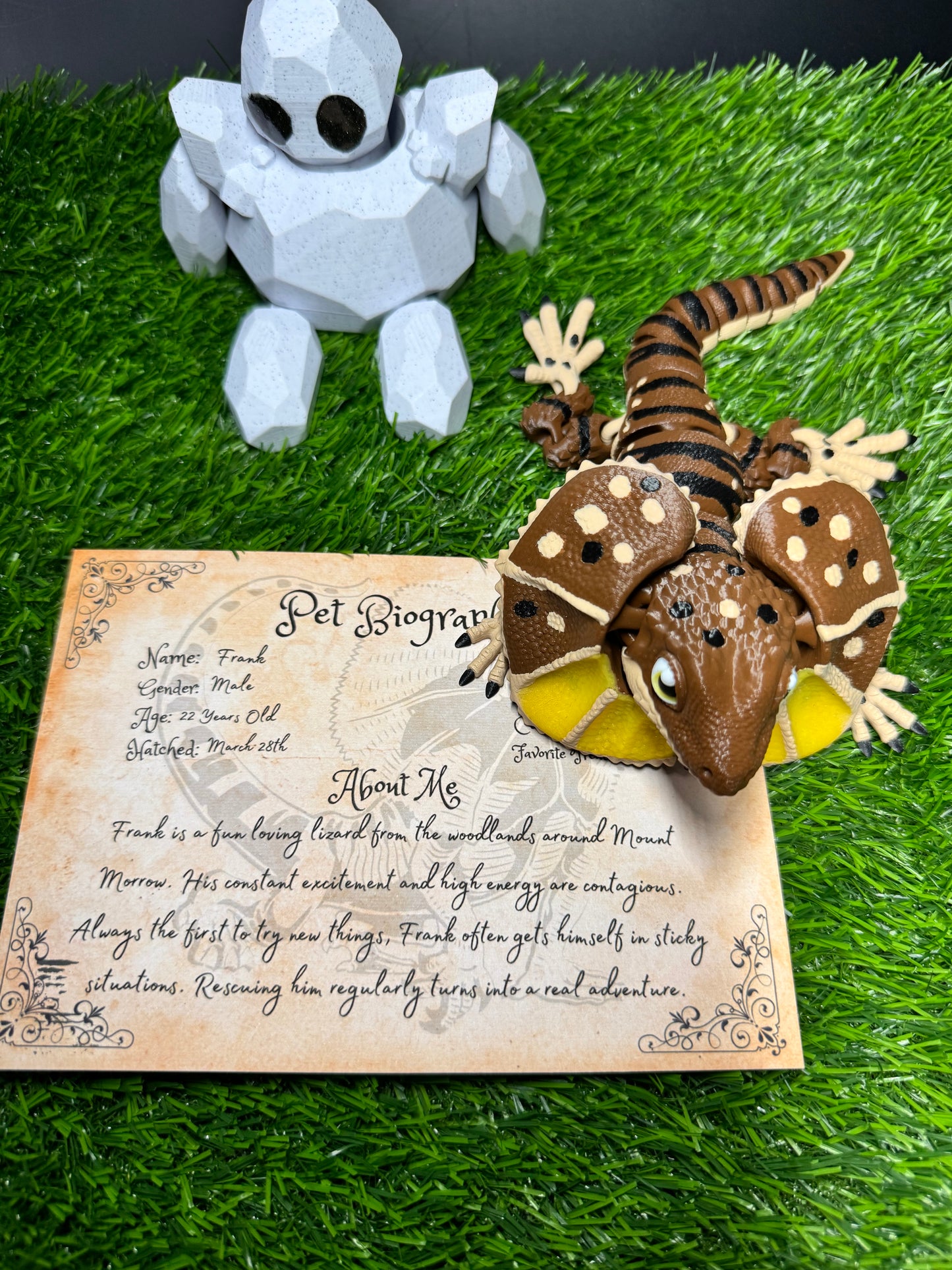 Frank - The Frilled Lizard - Mythical Pets