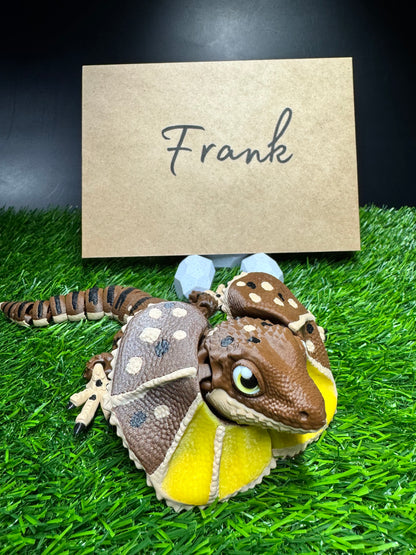 Frank - The Frilled Lizard - Mythical Pets