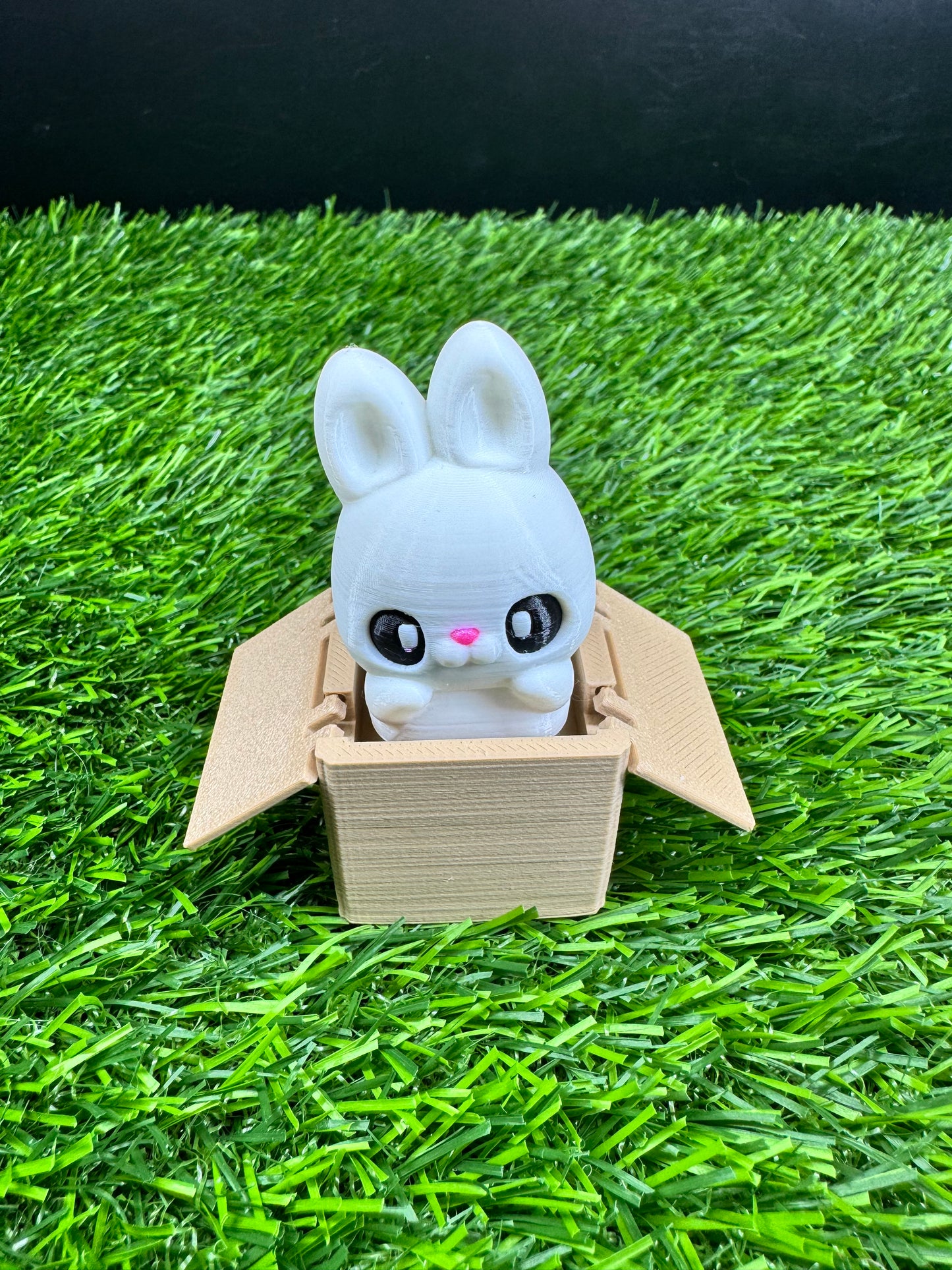 Box Animals - Fidget Clicker - Cat and Bunny