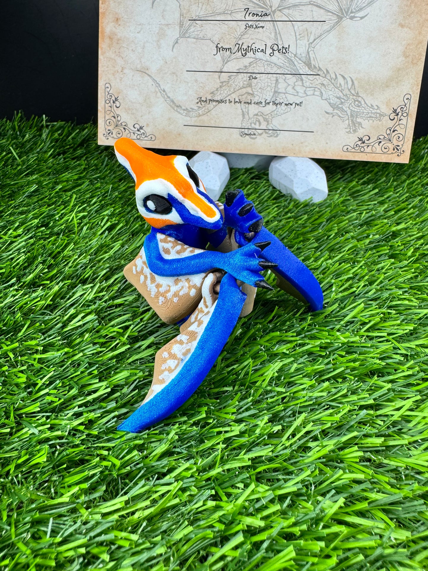 Petra - The Azure Pterodactyl  - Mythical Pets
