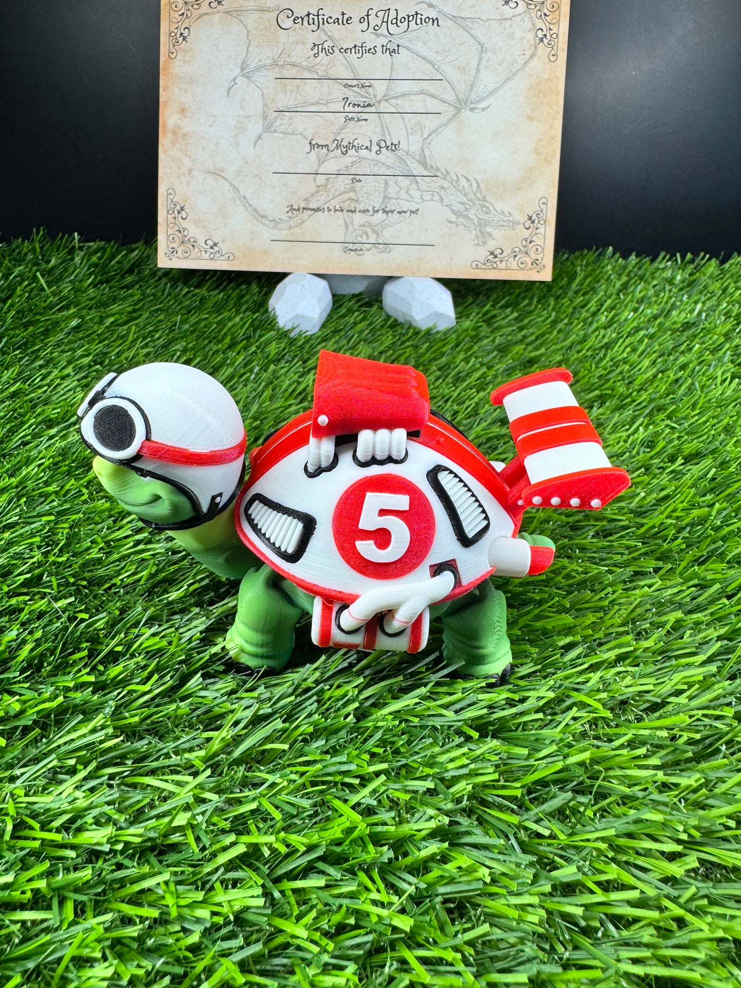 Toshi - The Racer Turtle  - Mythical Pets