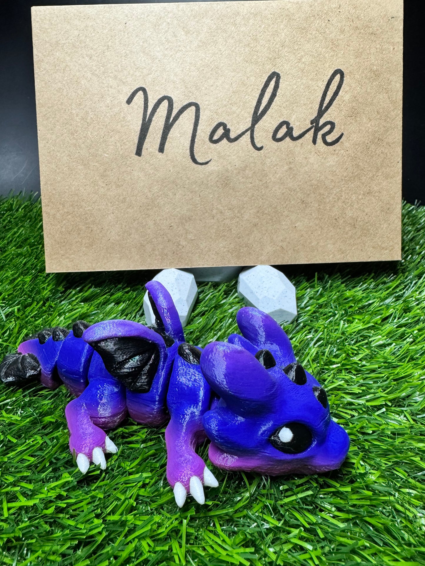 Malak - The Baby Dragon - Mythical Pets