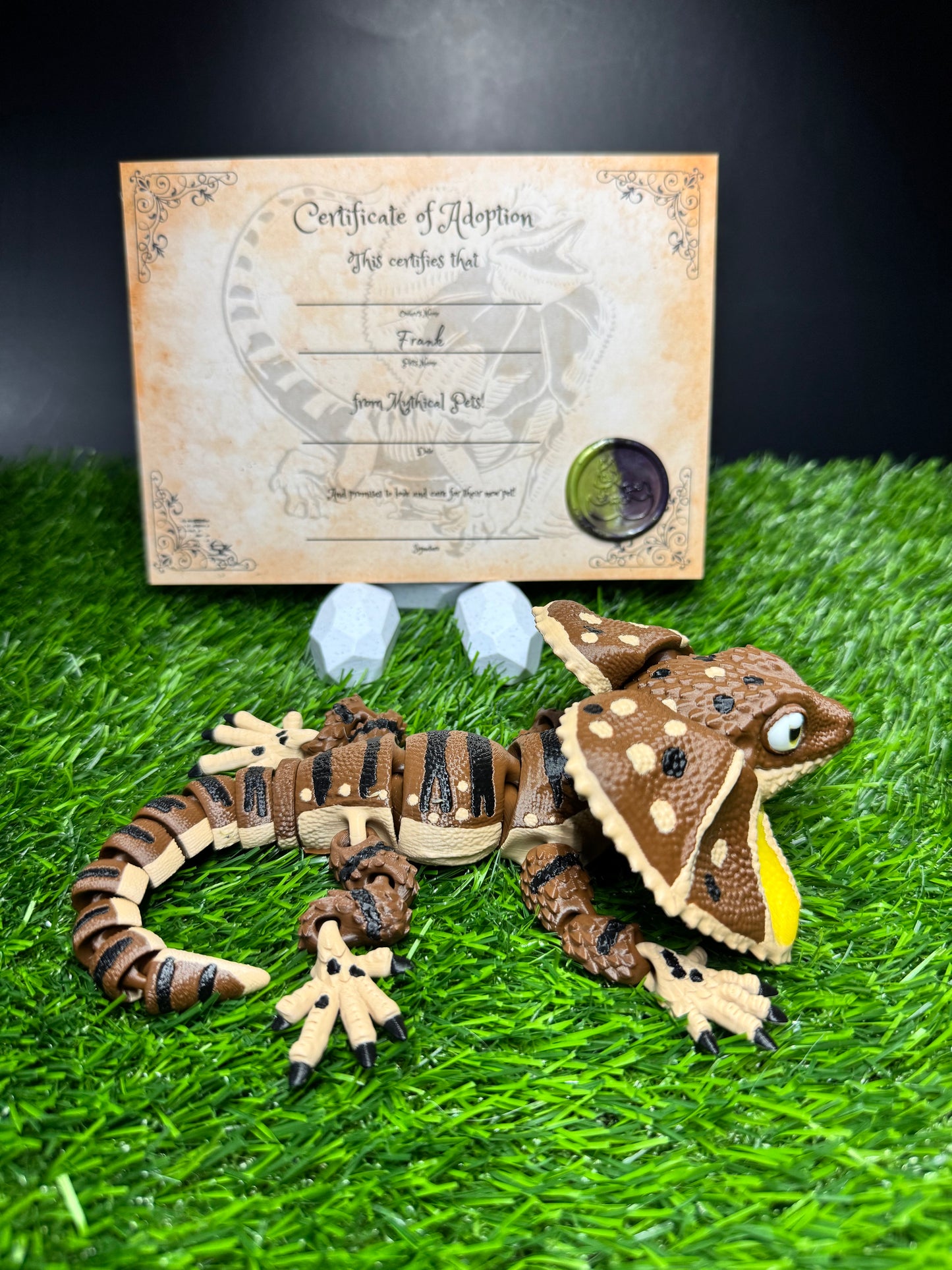 Frank - The Frilled Lizard - Mythical Pets