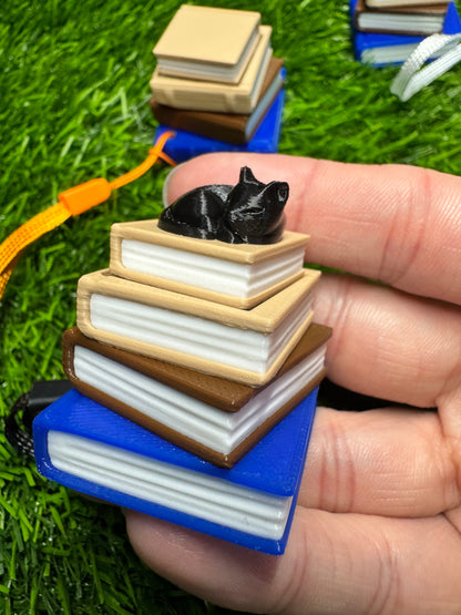 Fidget Clickers - Bookstack Series