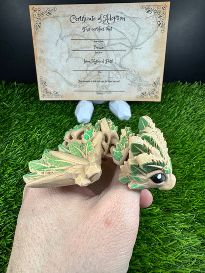 Monty - The Jungle Wyvern  - Mythical Pets