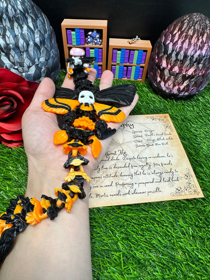 Mortis - The Death's Head Moth Dragon - Mythical Pets