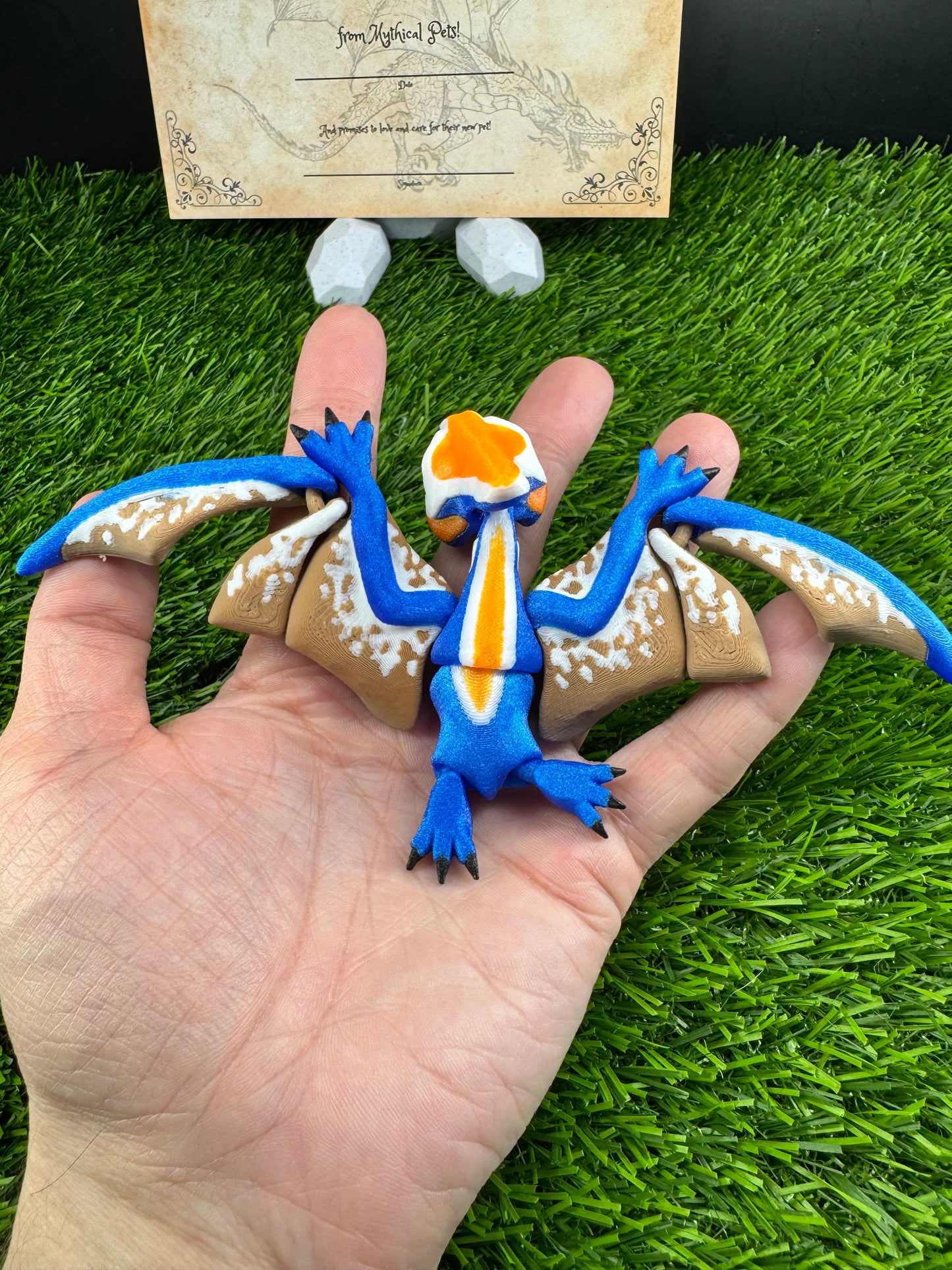 Petra - The Azure Pterodactyl  - Mythical Pets