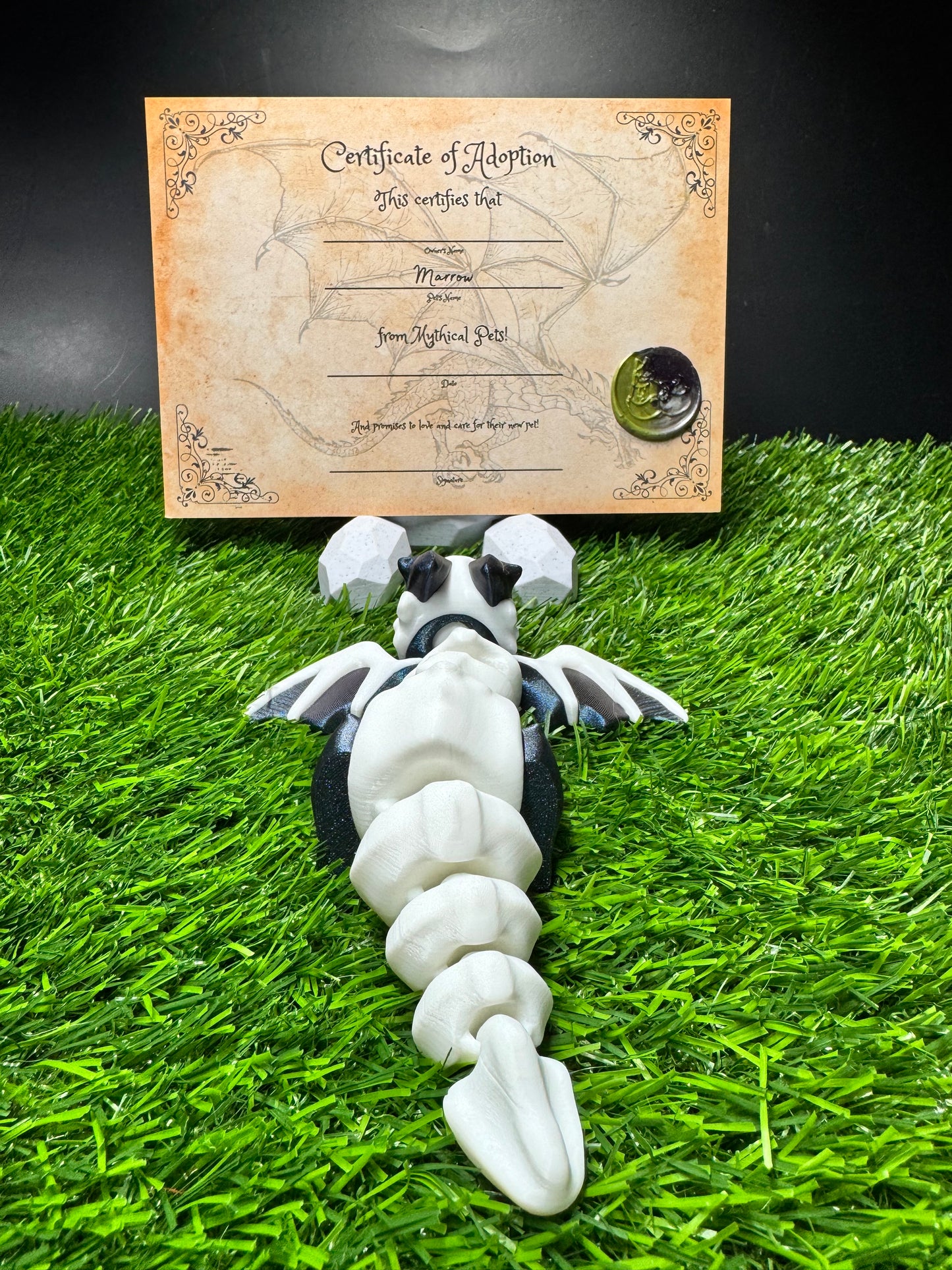 Marrow - The Bone Drake - Mythical Pets