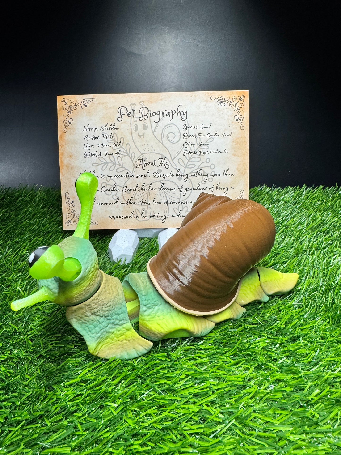 Sheldon - The Fae Snail - Mythical Pets