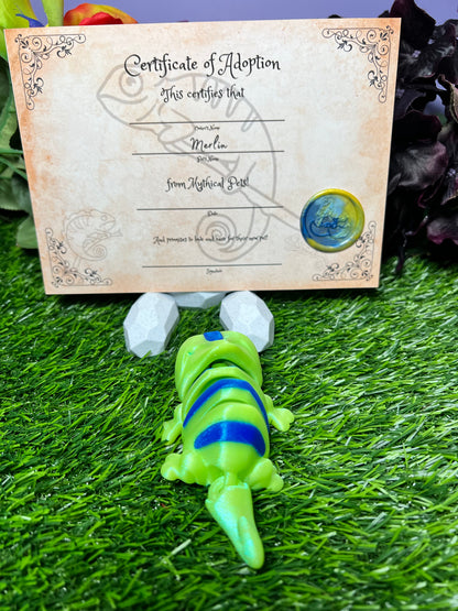 Merlin - The Magical Chameleon - Mythical Pets