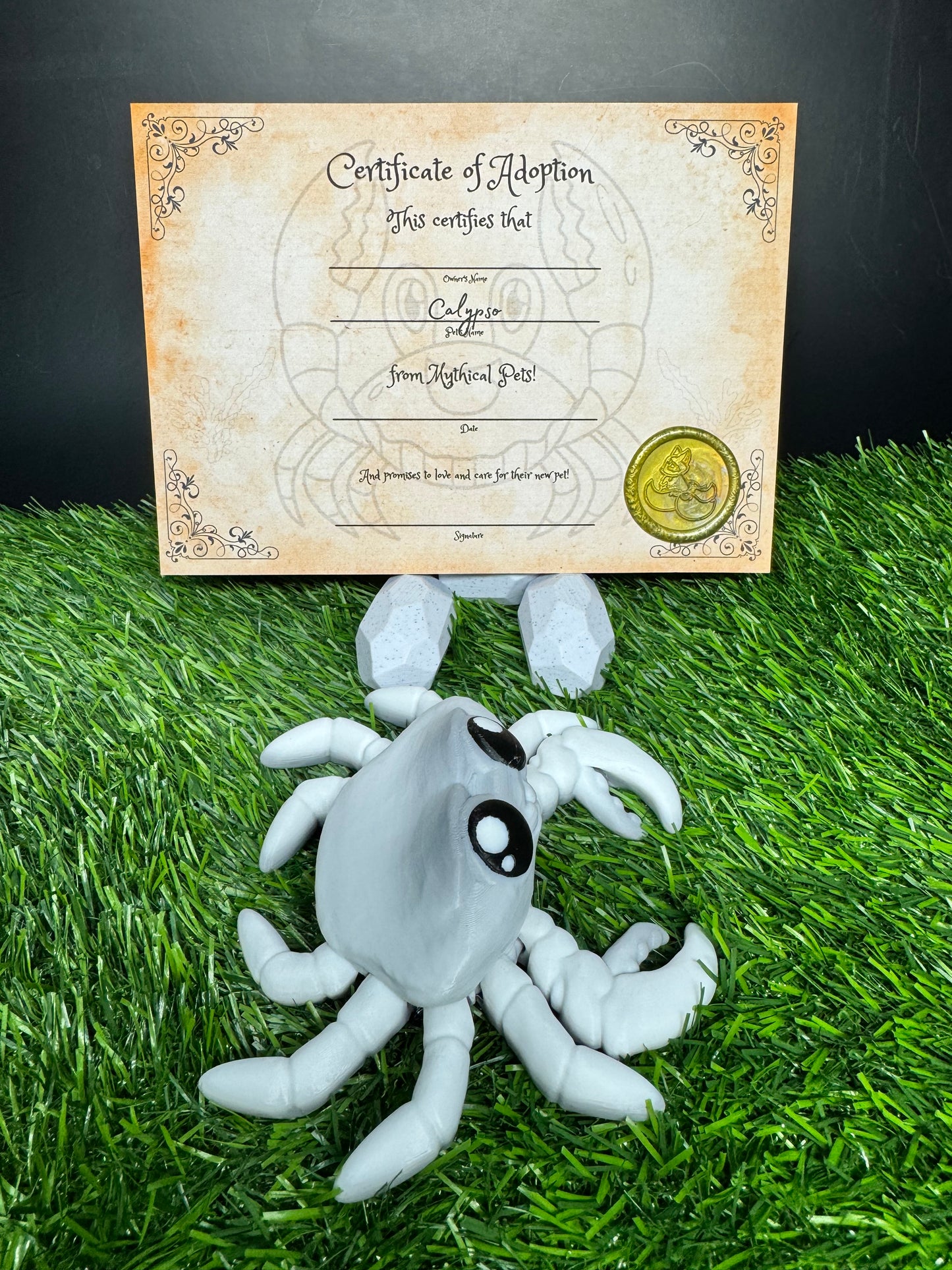 Calypso - The Rock Crab - Mythical Pets