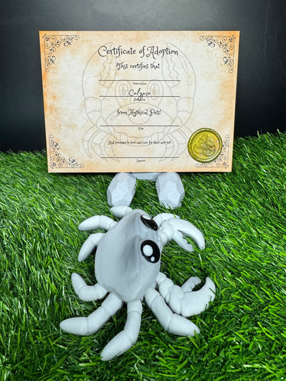 Calypso - The Rock Crab - Mythical Pets