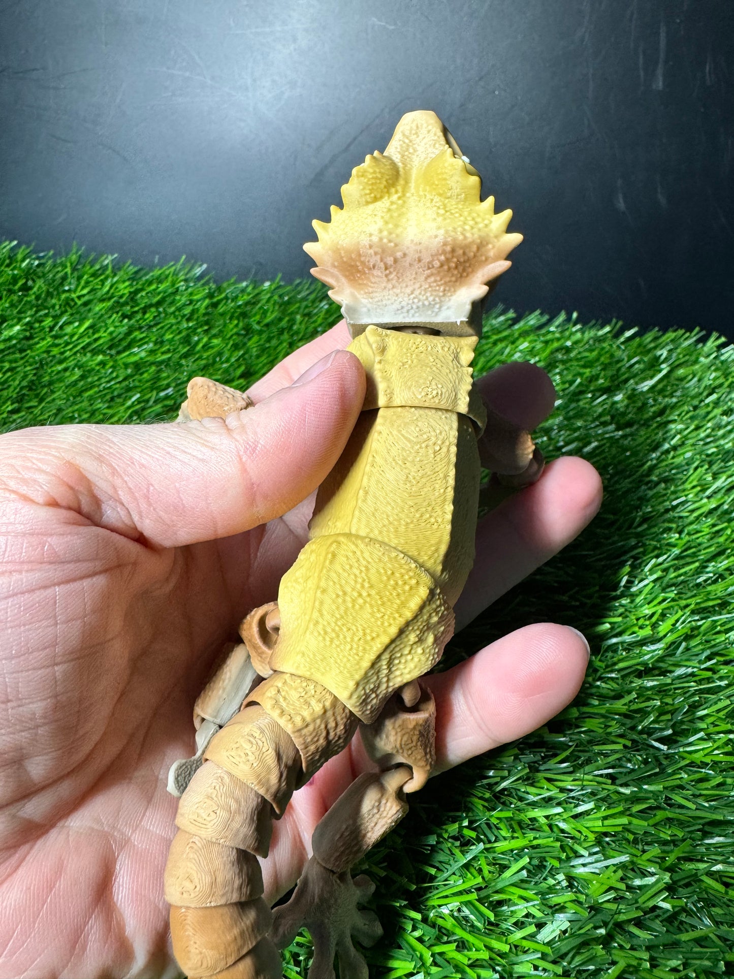 Jayden - The Stump Gecko  - Mythical Pets