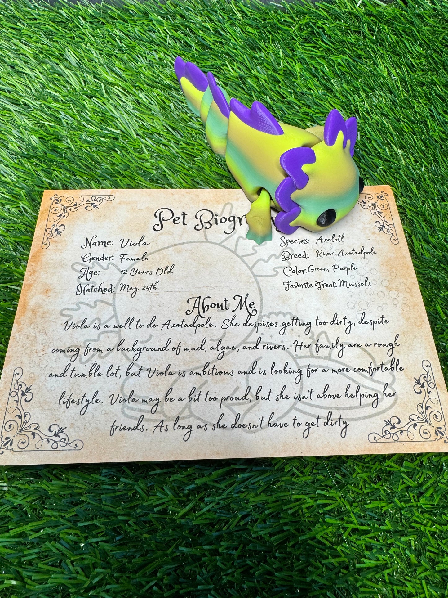 Viola - The Axotadpole - Mythical Pets