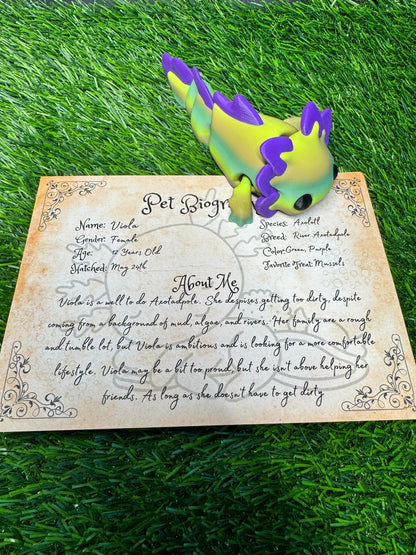 Viola - The Axotadpole - Mythical Pets