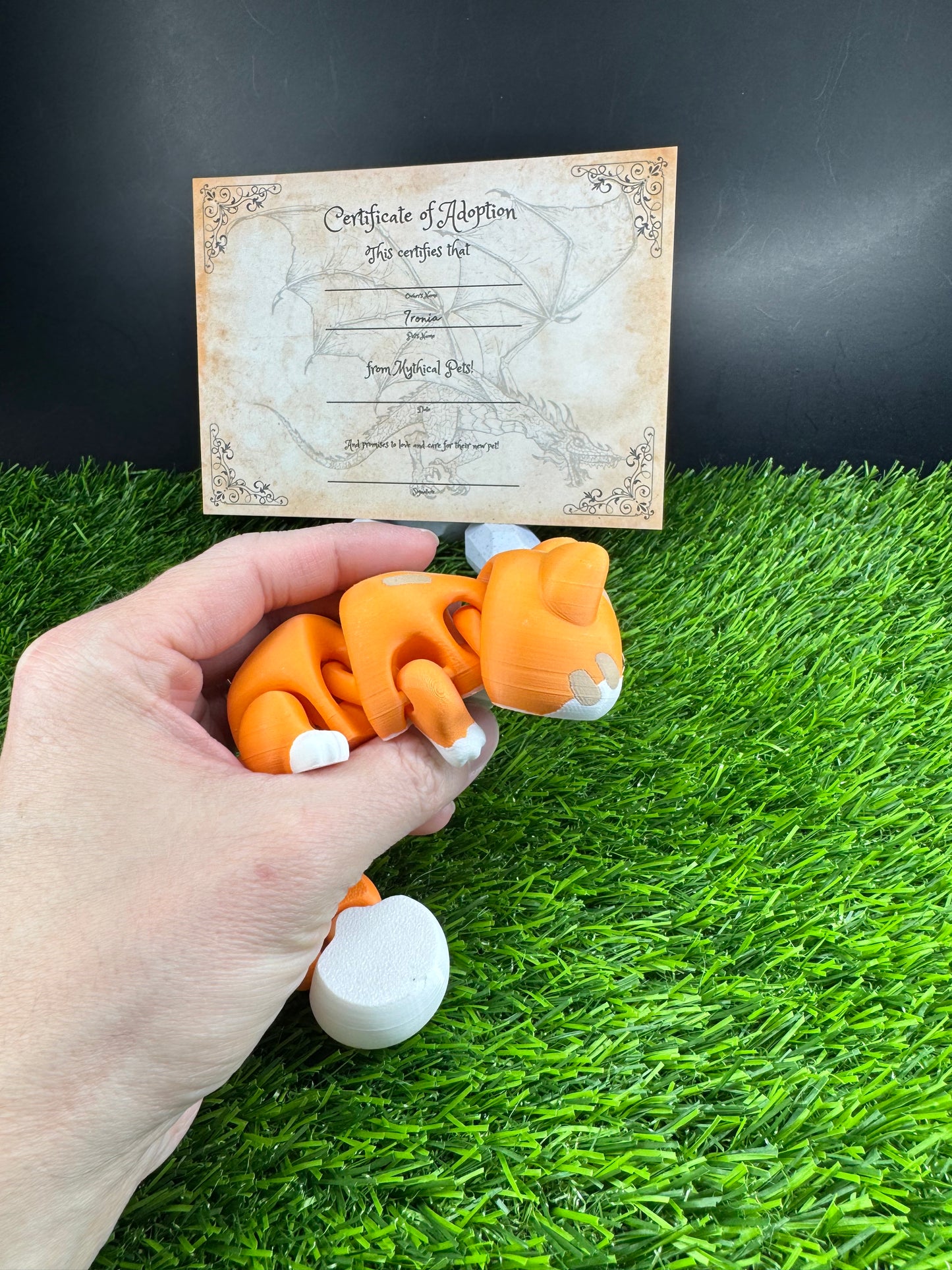 Oliver - The Orange Cat  - Mythical Pets