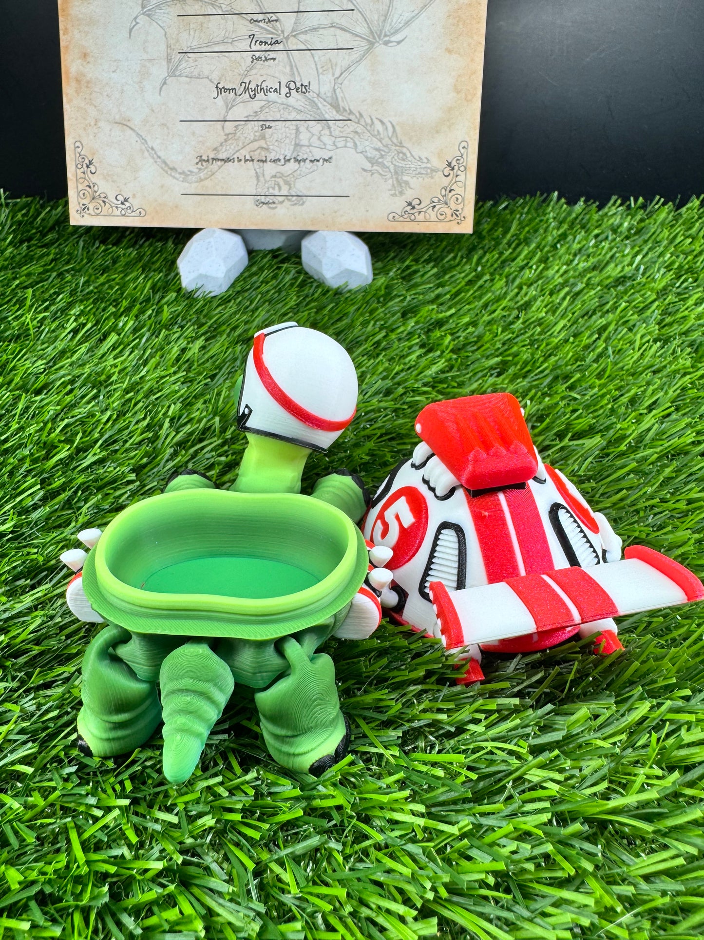 Toshi - The Racer Turtle  - Mythical Pets