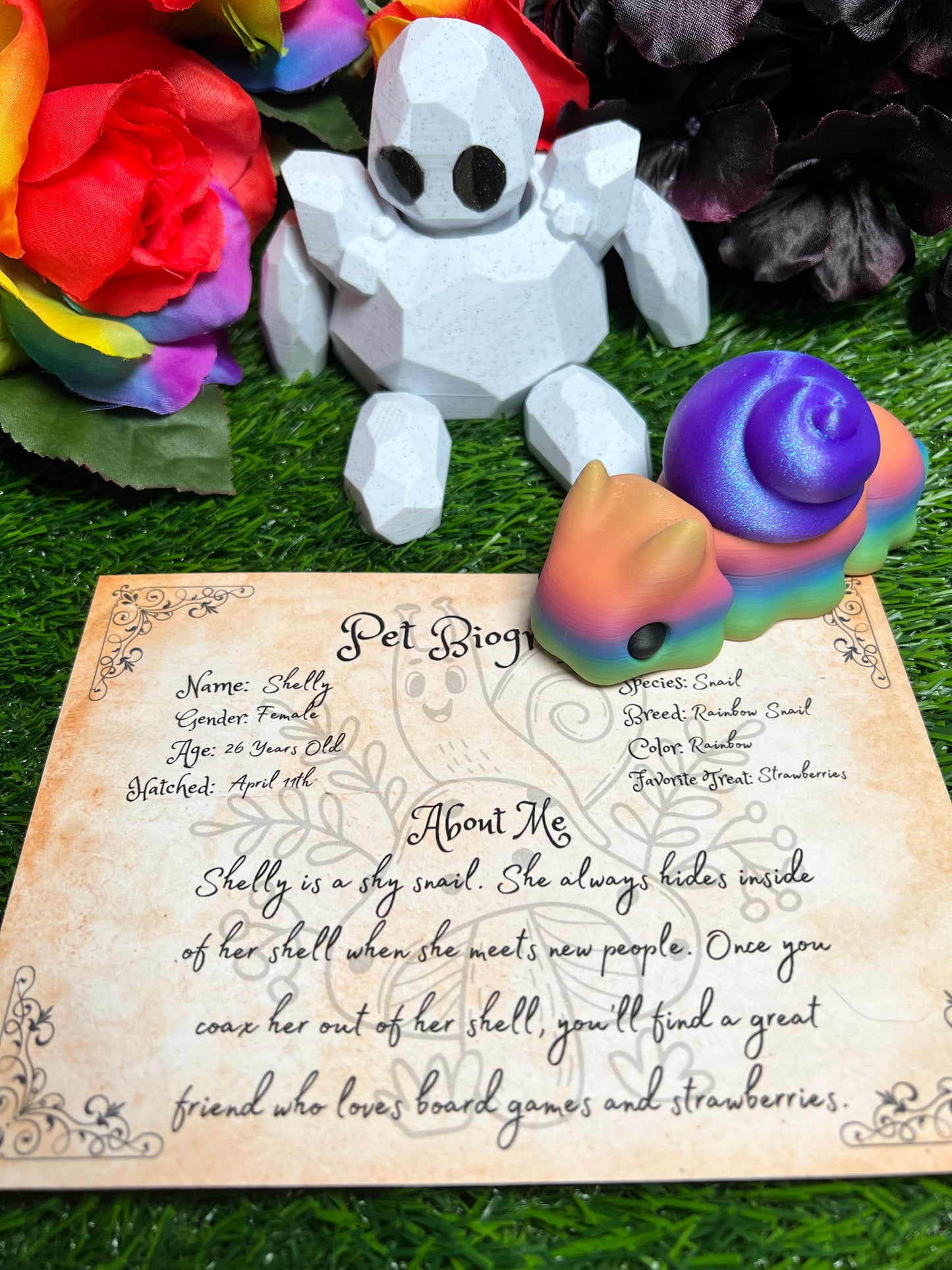 Shelly - The Rainbow Snail - Mythical Pets