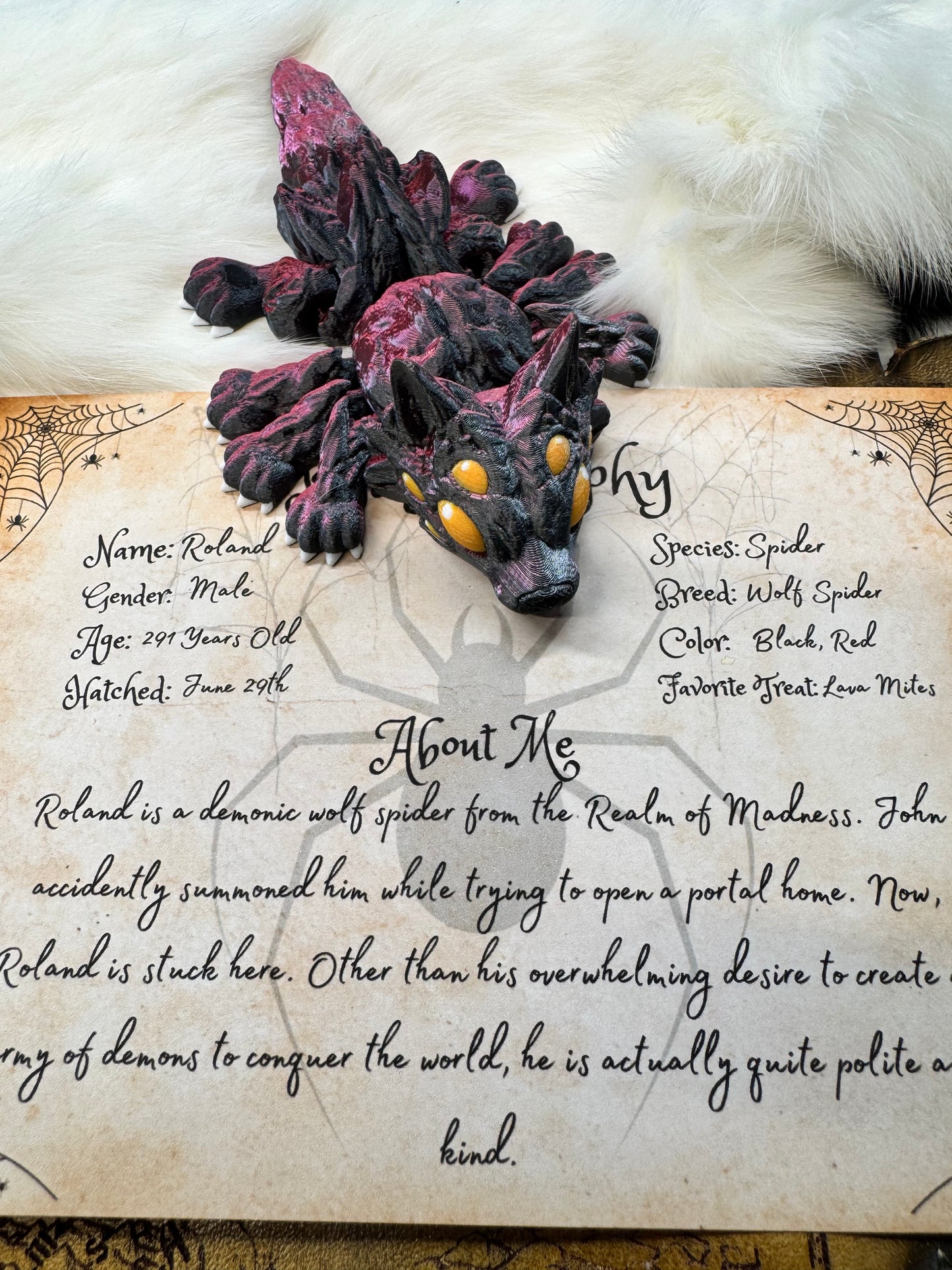 Roland - The Wolf Spider  - Mythical Pets