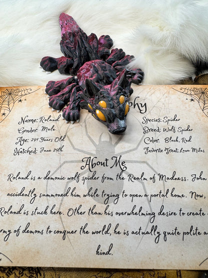 Roland - The Wolf Spider  - Mythical Pets
