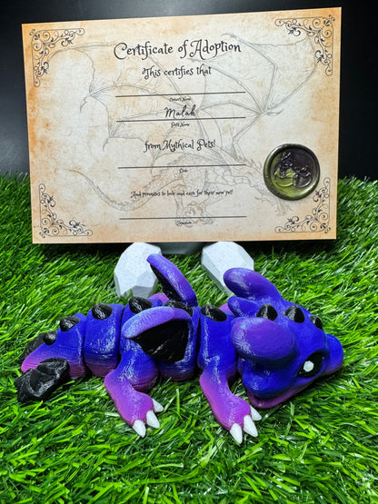 Malak - The Baby Dragon - Mythical Pets