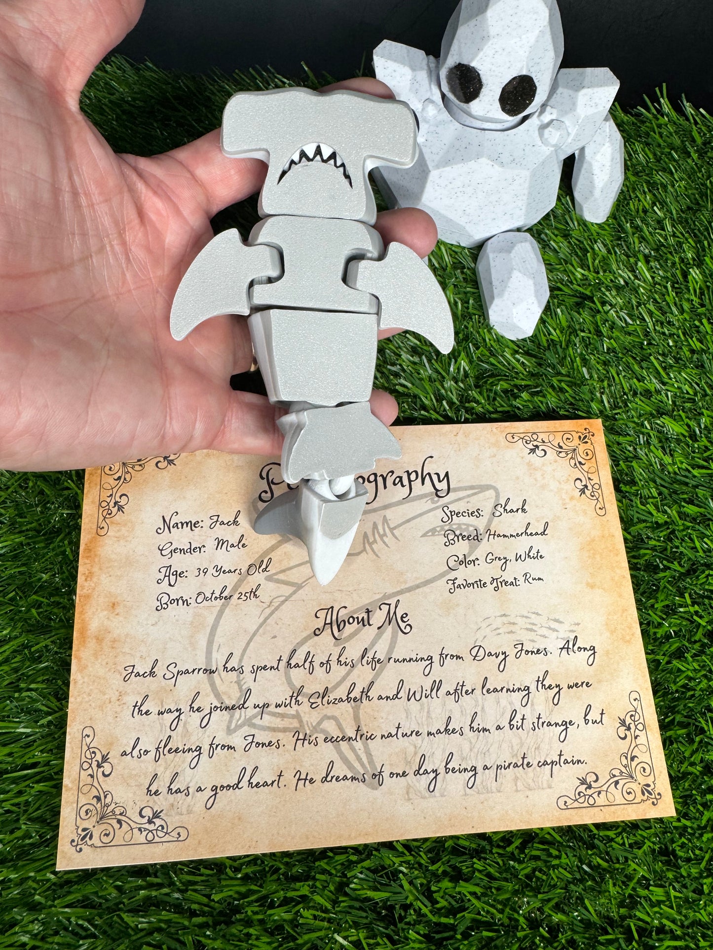 Jack Sparrow - The Hammerhead Shark - Mythical Pets