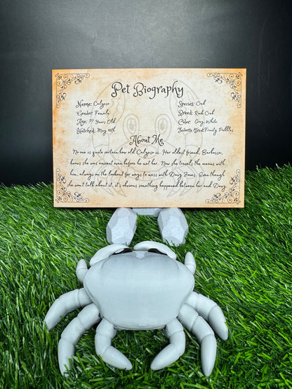 Calypso - The Rock Crab - Mythical Pets