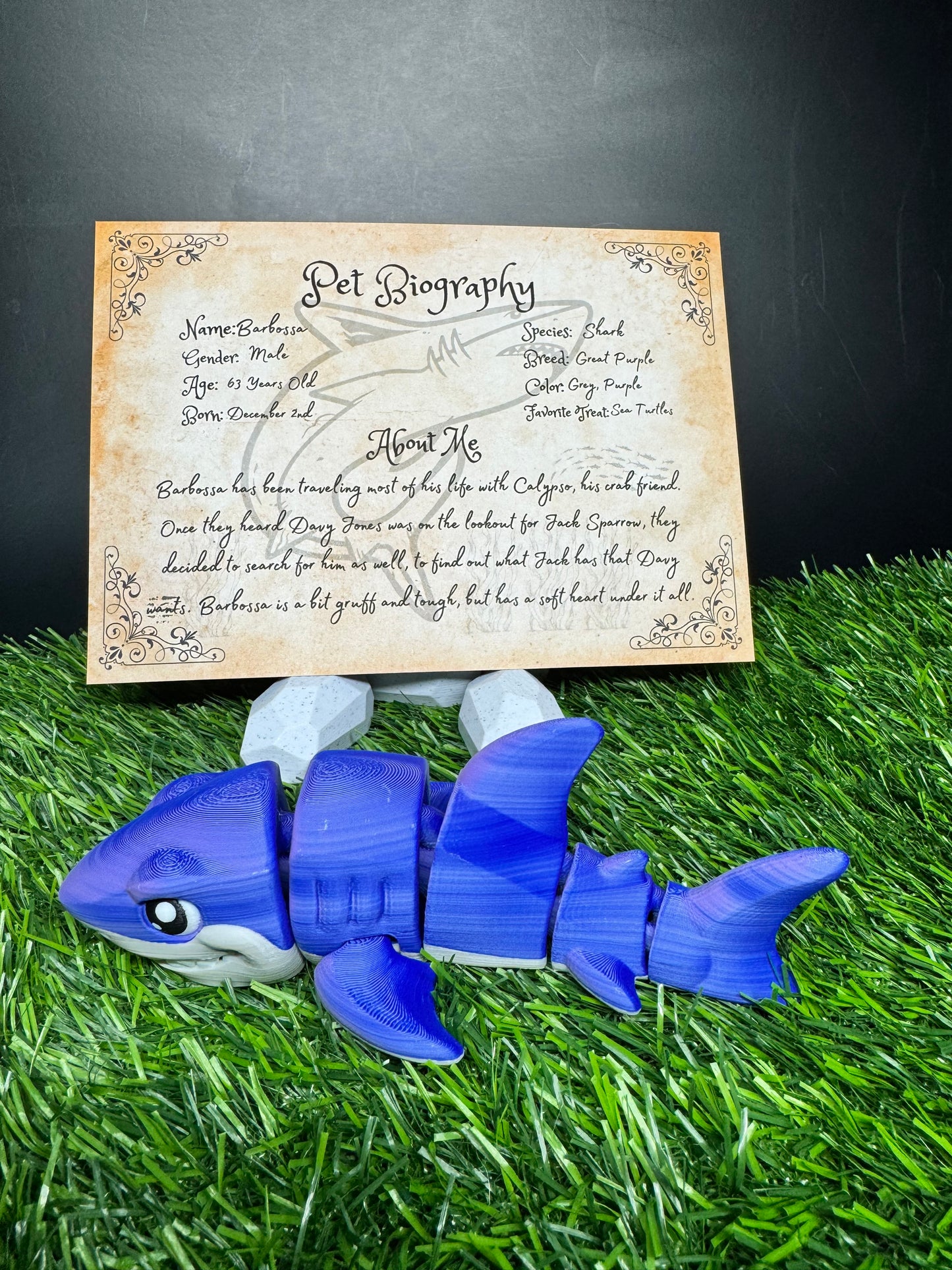 Barbossa - The Great Blue Shark - Mythical Pets