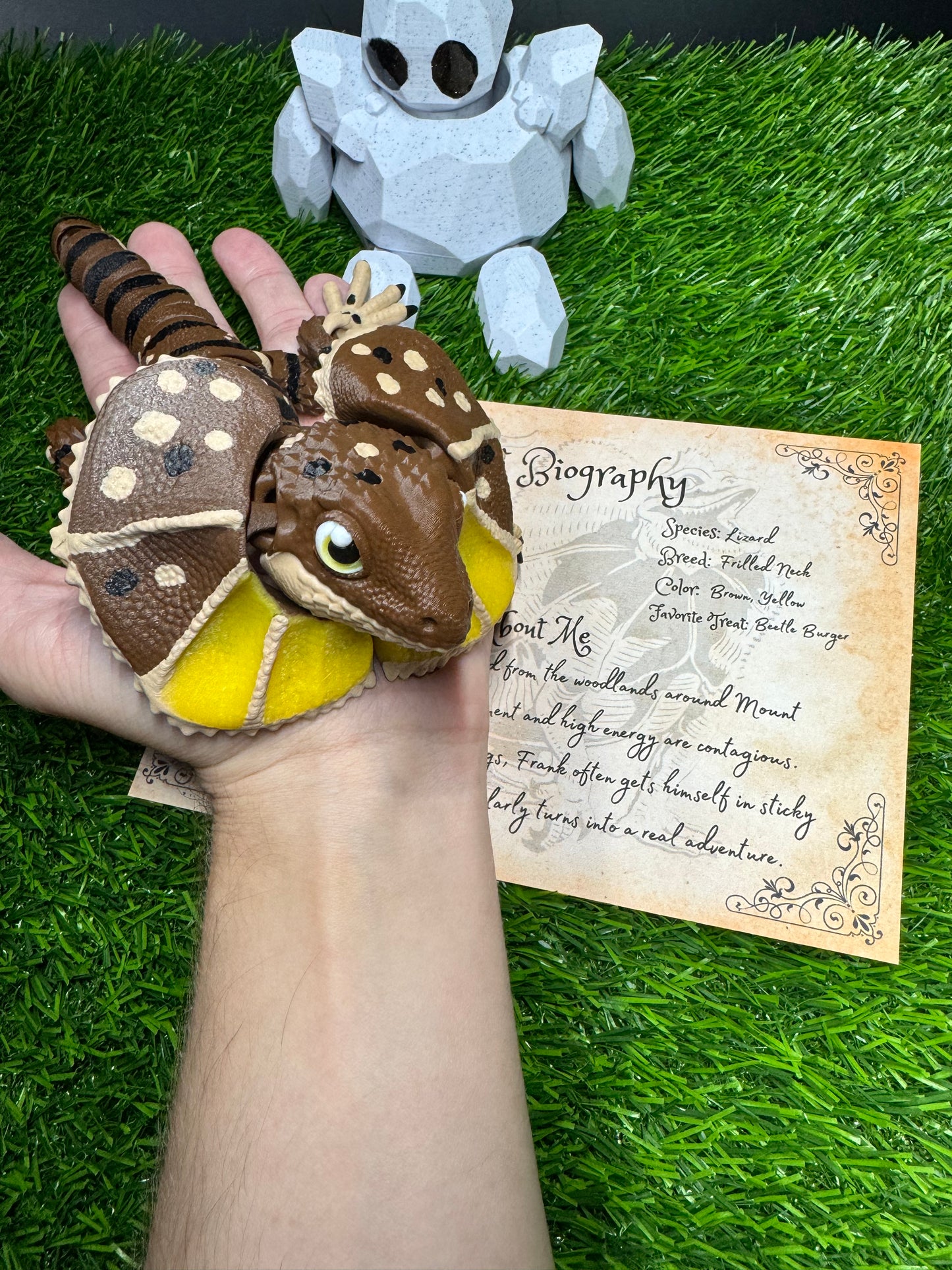 Frank - The Frilled Lizard - Mythical Pets