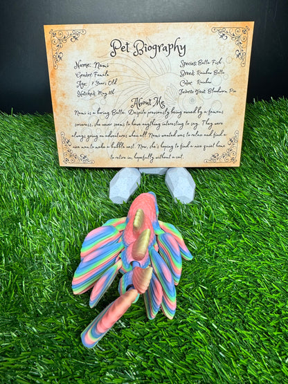 Nami - The Rainbow Betta Fish - Mythical Pets