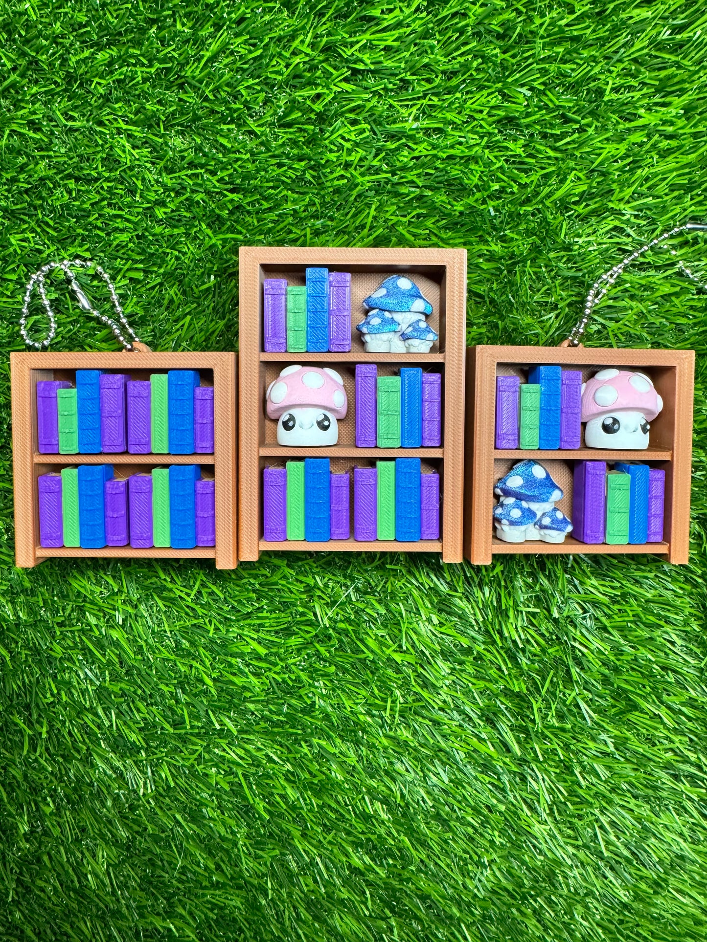 Fidget Clickers - Bookshelf