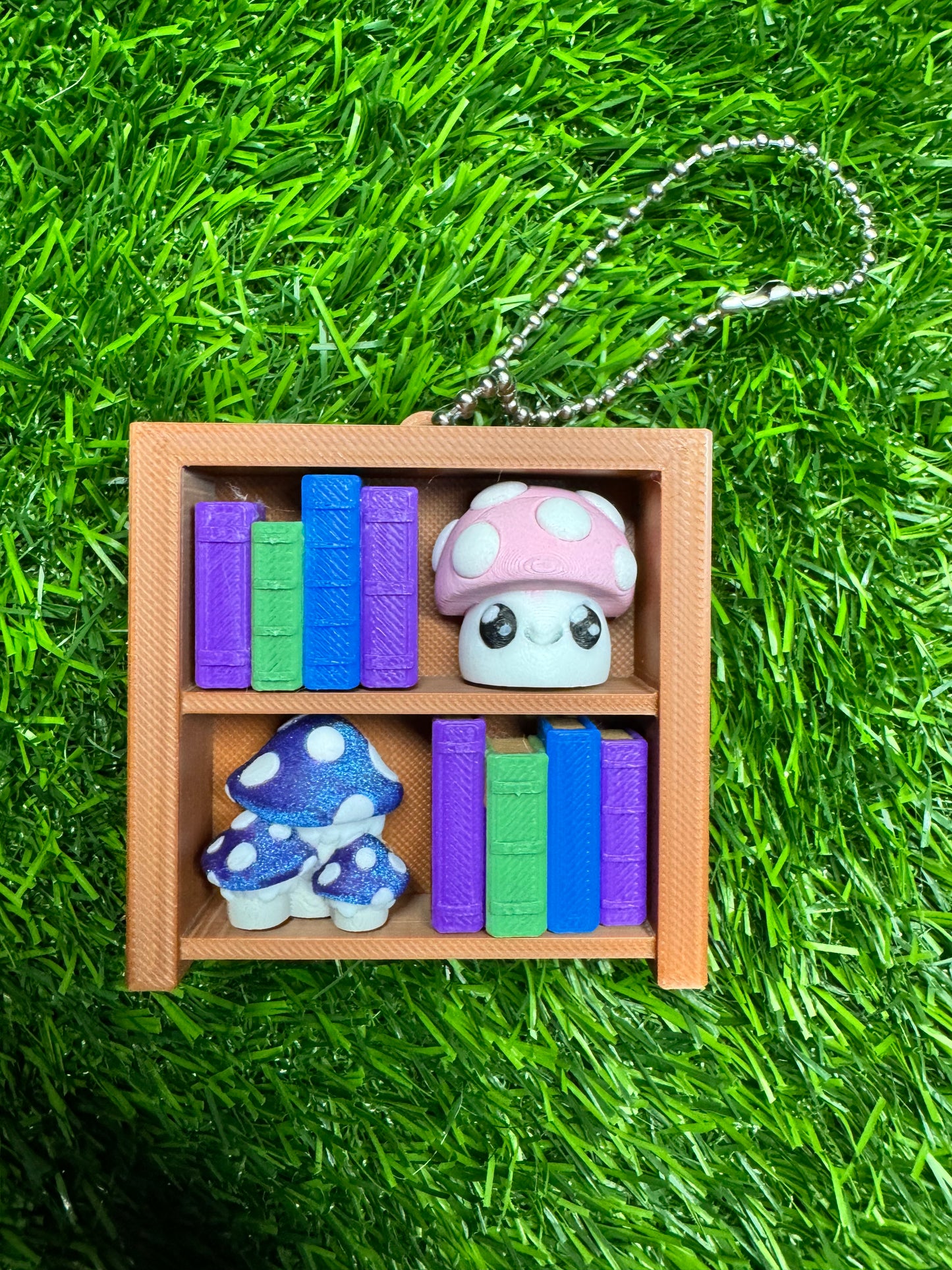 Fidget Clickers - Bookshelf