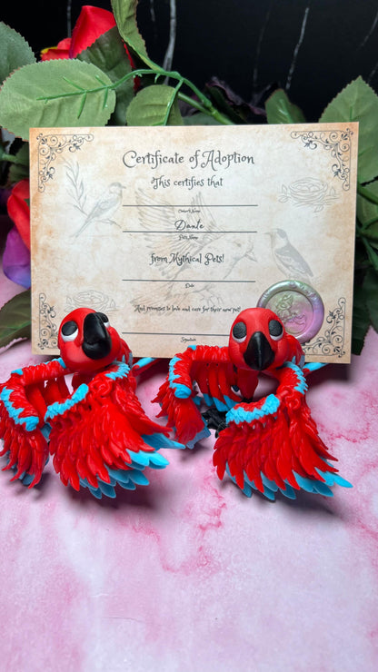 Dante - The Scarlet Macaw  - Mythical Pets
