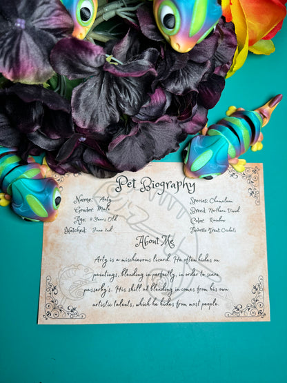 Arty - The Rainbow Chameleon  - Mythical Pets