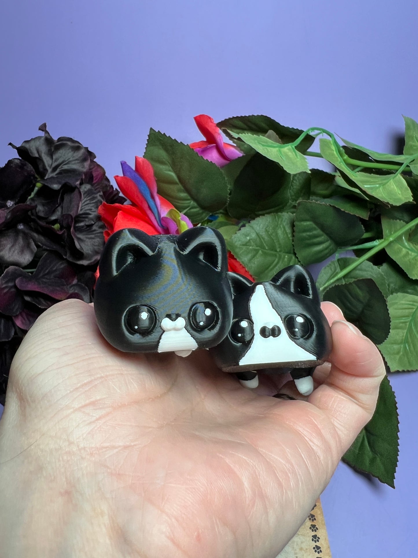 Yama and Yami - The Twincats  - Mythical Pets