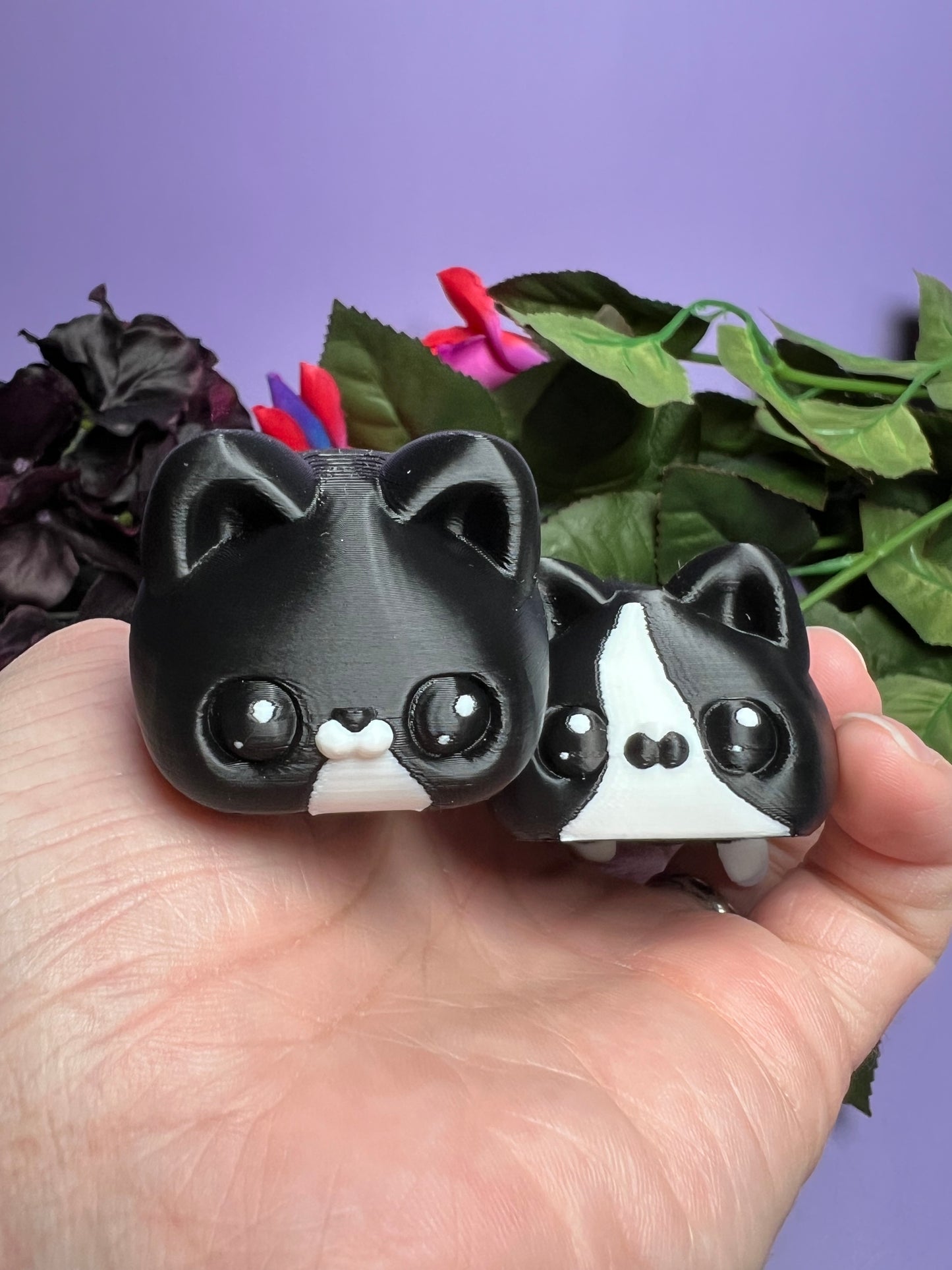 Yama and Yami - The Twincats  - Mythical Pets