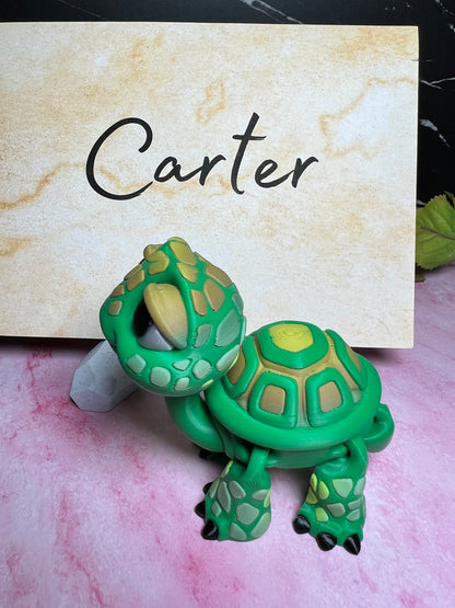 Carter - The Tortoise - Mythical Pets