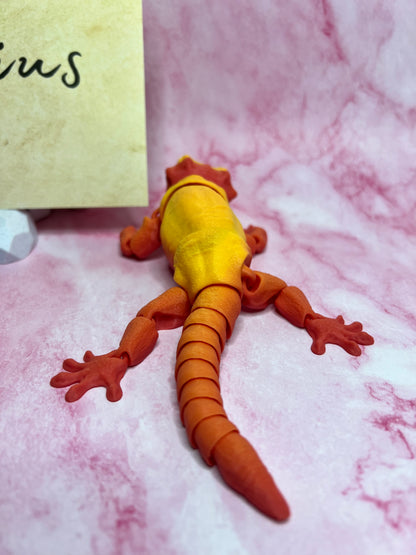 Darius - The Gargoyle Gecko - Mythical Pets