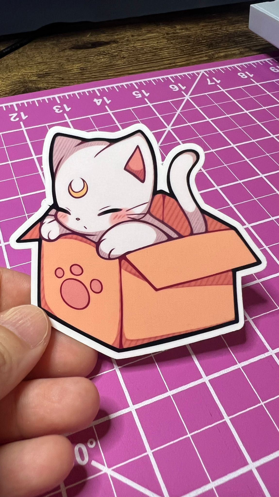 Sailor Moon Cats - Luna, Diana, Artemis in Boxes - Die Cut