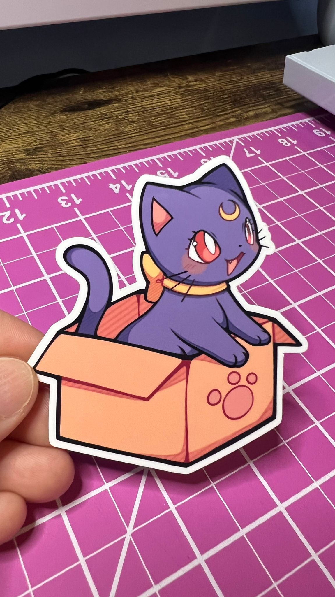 Sailor Moon Cats - Luna, Diana, Artemis in Boxes - Die Cut
